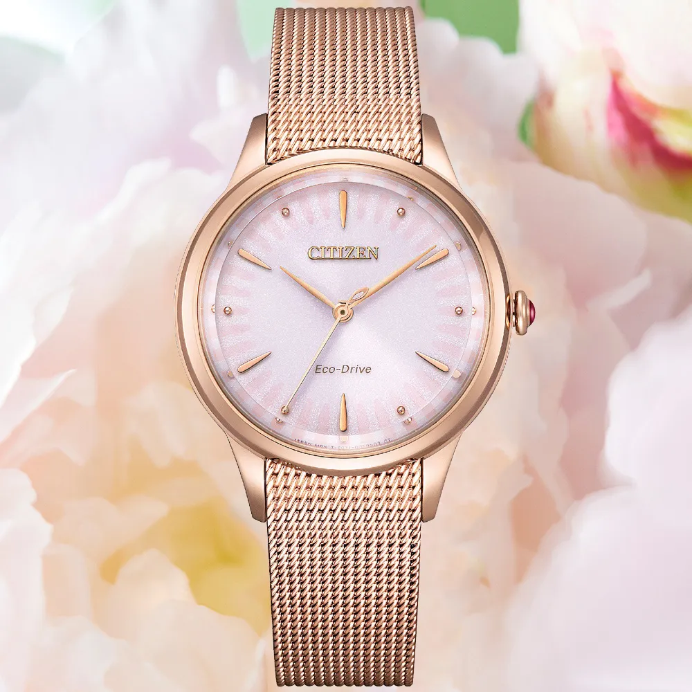 CITIZEN L系列廣告款光動能腕錶EM0853-81Y 歷史價格詳細信息