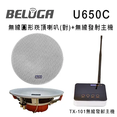 BELUGA 白鯨牌 U530M 隨插即用 一對二 雙頻 無線麥克風組 ECHO功能 | 金曲音響 歷史價格詳細信息