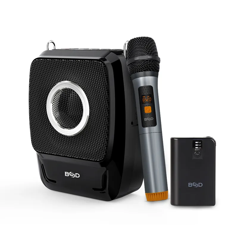 BSD BA-7300 UHF輕量型1對2無線麥克風 現金積點20%折抵 歷史價格詳細信息