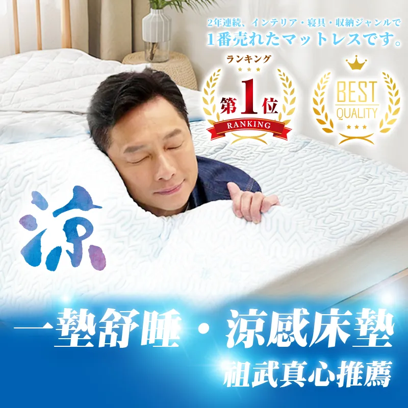 日本熱銷人體工學釋壓護腰椅墊 歷史價格詳細信息