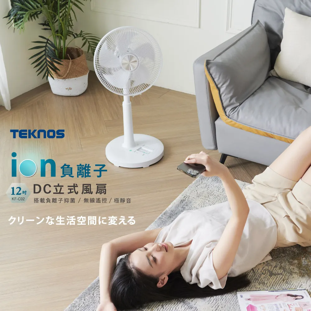 日本製立式盤子收納架-寬 歷史價格詳細信息