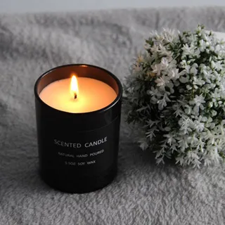 【黑珍珠】黑珍珠小蒼蘭香水亮光蠟--220mL 歷史價格詳細信息