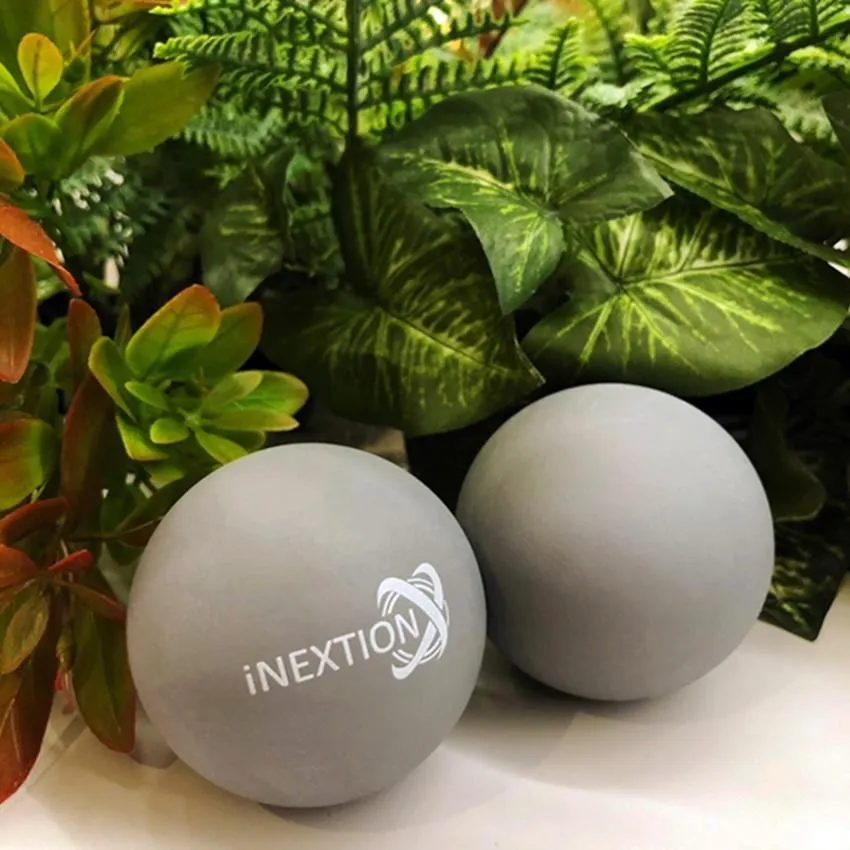 【INEXTION】Therapy Balls 筋膜按摩療癒球 2入組 - 淺藍+天灰(50D+65D 天然橡膠按摩球 台灣製) 歷史價格詳細信息