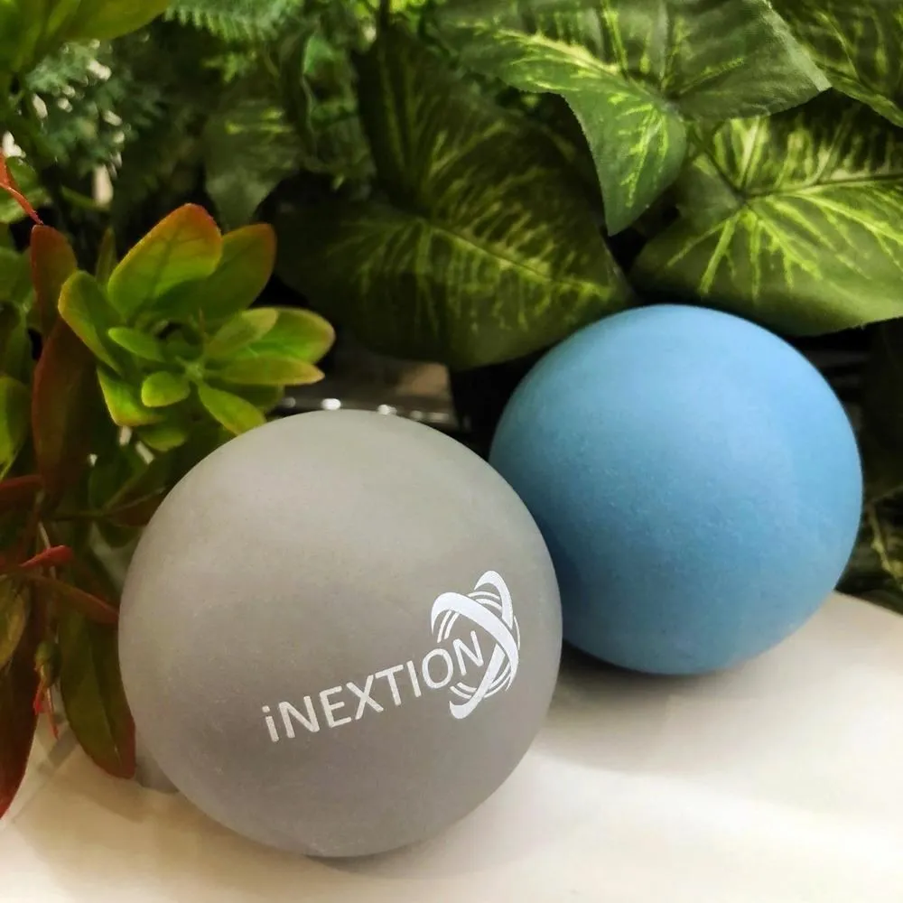 【INEXTION】Therapy Balls 筋膜按摩療癒球 2入組 - 淺藍+天灰(50D+65D 天然橡膠按摩球 台灣製) 歷史價格詳細信息