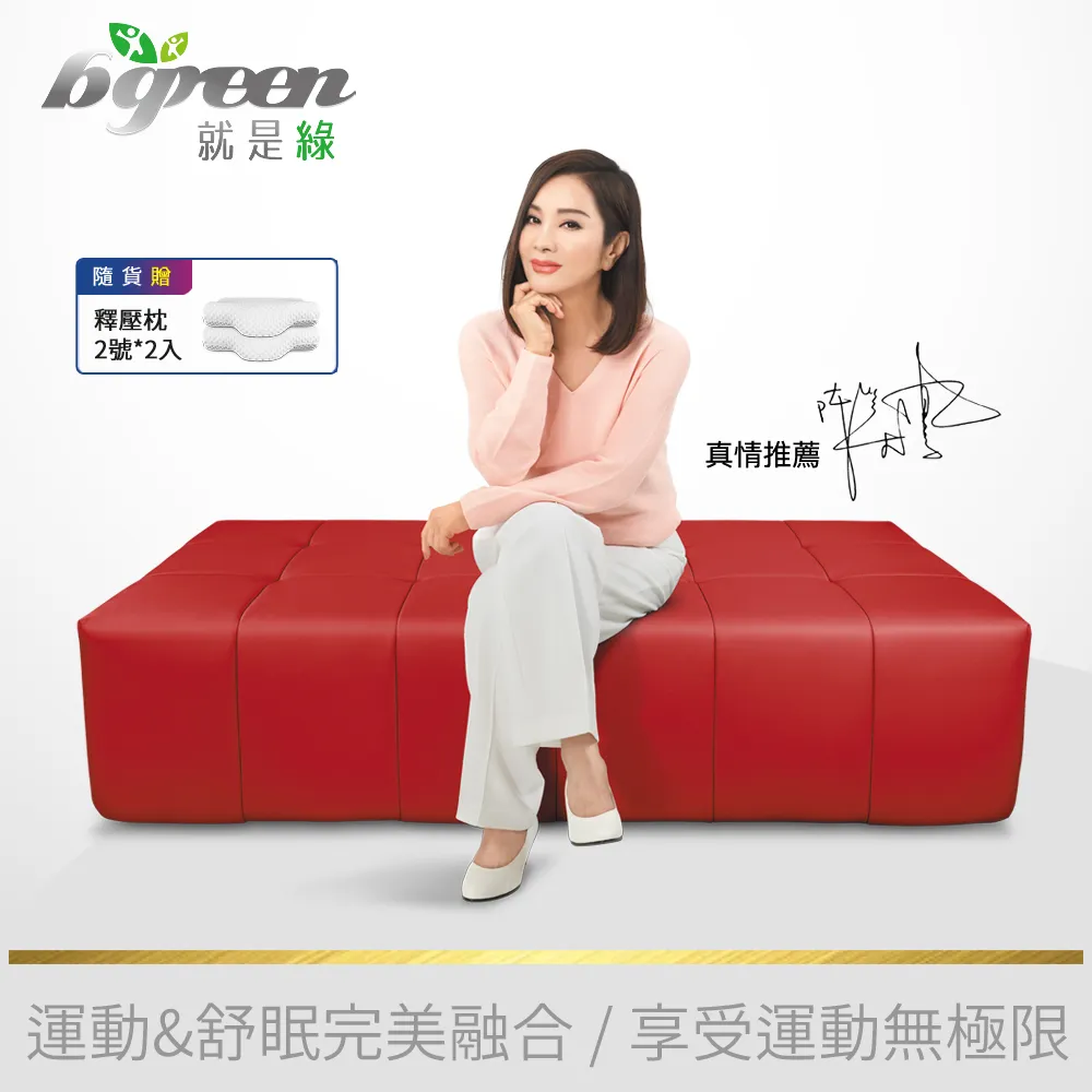 bgreen 運動養生椅 BR1  科技皮 歷史價格詳細信息