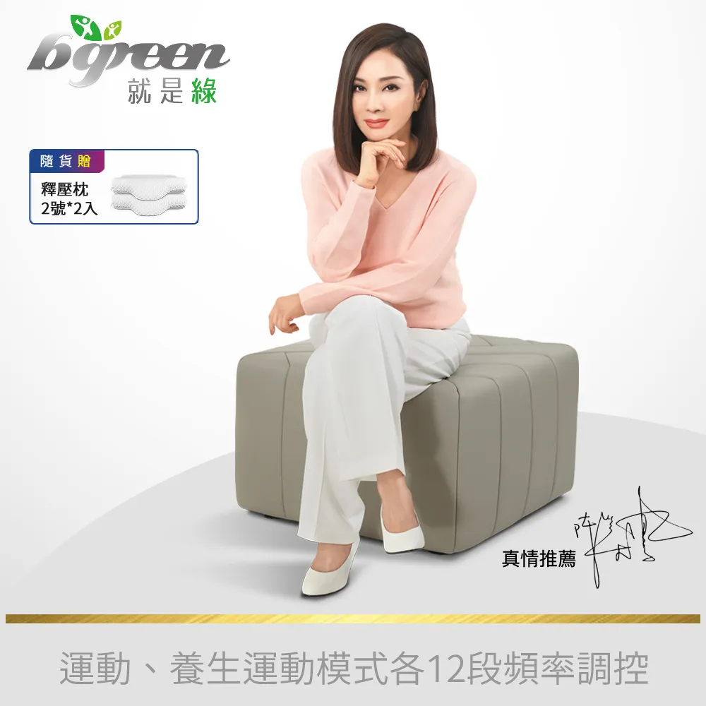 bgreen 運動養生椅 BR1  科技皮 歷史價格詳細信息