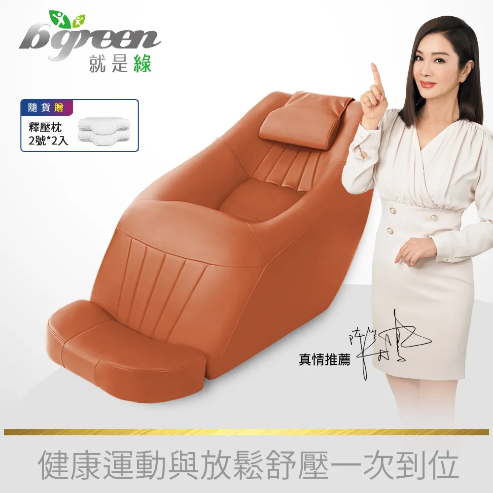 bgreen 運動養生椅 BR1  科技皮 歷史價格詳細信息