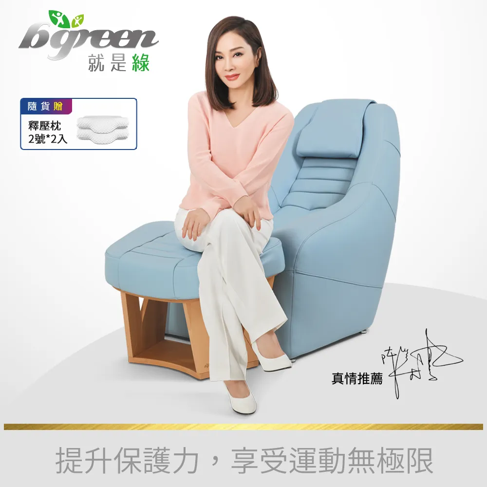 bgreen 運動養生椅 BR1  科技皮 歷史價格詳細信息