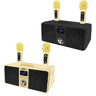 雙人k歌手提音響 家庭聚會戶外聚餐神器可攜式唱歌插卡手提音箱 歷史價格詳細信息