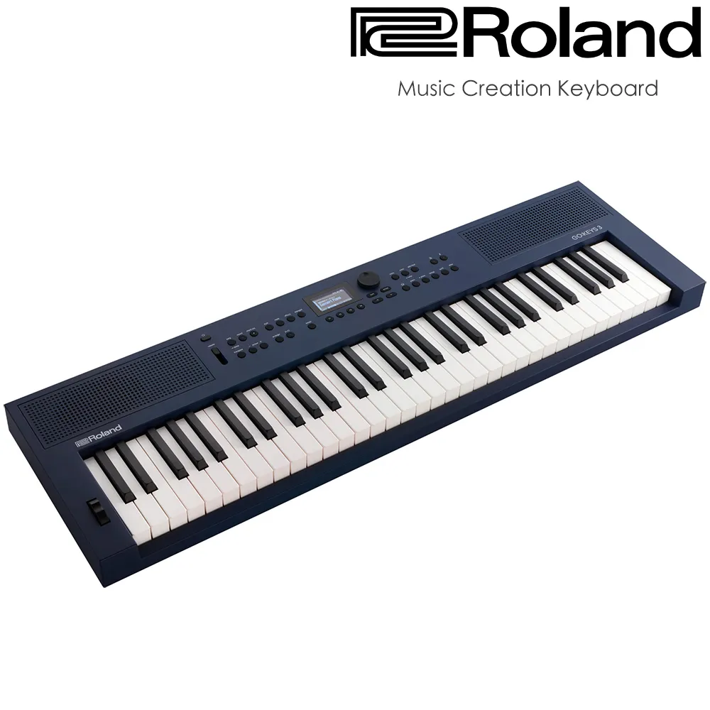 電子琴Roland羅蘭電子琴GO-61K GO61P兒童初學者成年61鍵便攜電子琴電鋼 歷史價格詳細信息