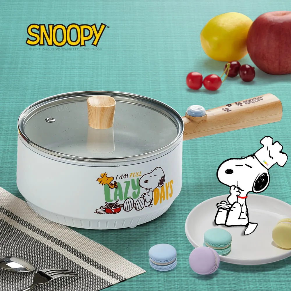 【SNOOPY 史努比】吃貨系列-S19雙層防燙快煮鍋+M1909蒸具二件套 歷史價格詳細信息