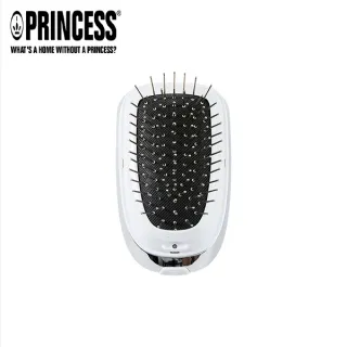 PRINCESS｜荷蘭公主 負離子電動按摩梳(長柄) 529431 歷史價格詳細信息