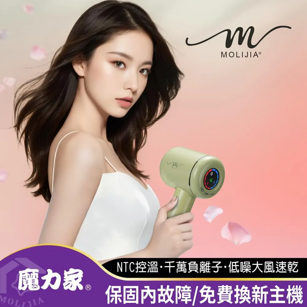 恆溫高速吹風機等離子護髮靜音速幹家用大功率電吹風筒防靜電 歷史價格詳細信息