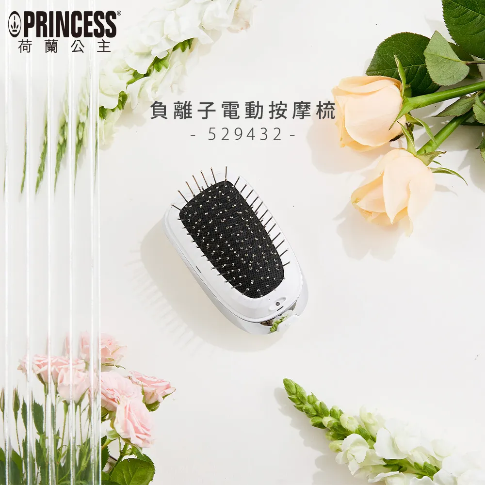 PRINCESS｜荷蘭公主 負離子電動按摩梳(長柄) 529431 歷史價格詳細信息
