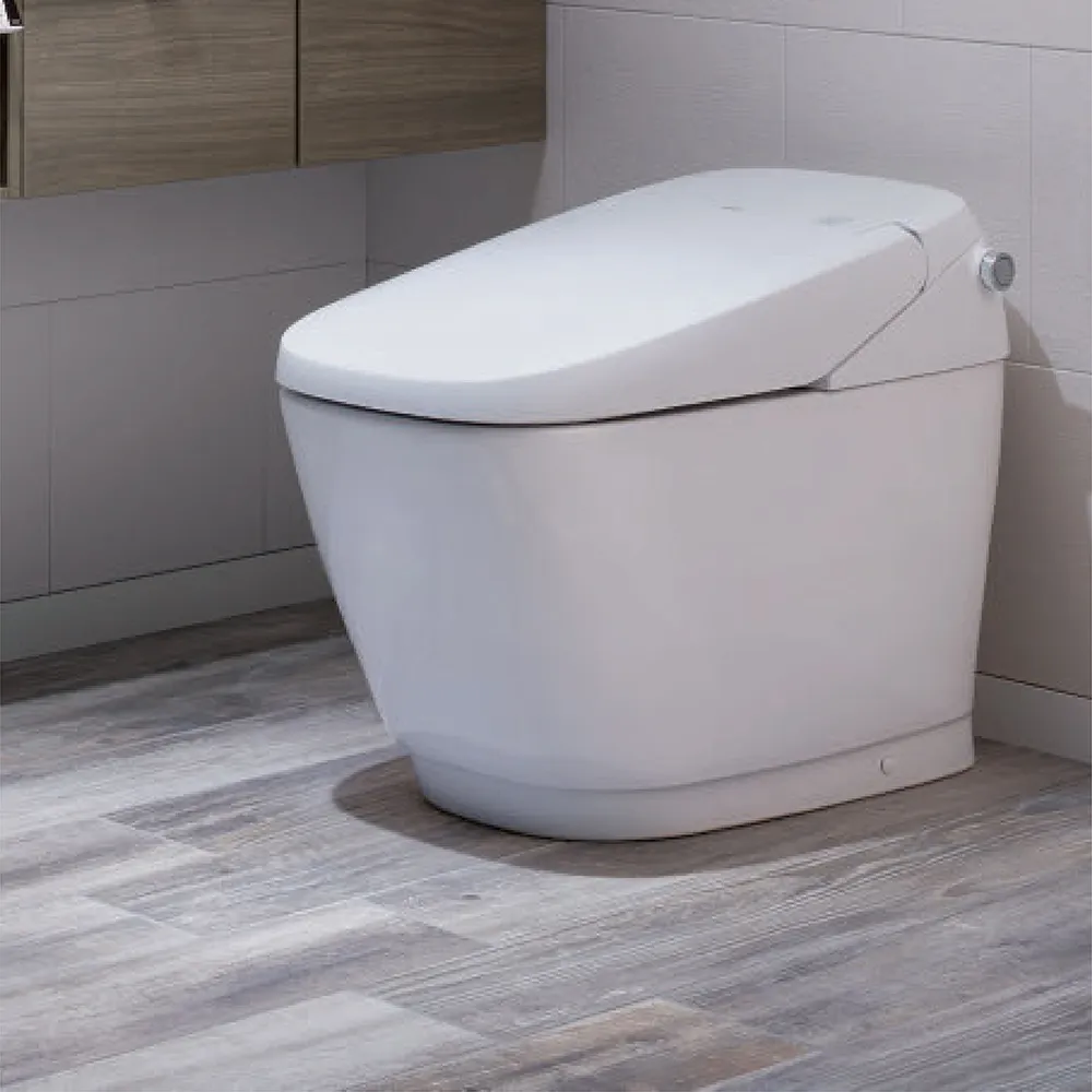 Invax 英碩 JP-SR-T64-BL 穿透式護套 100入 藍色 歷史價格詳細信息