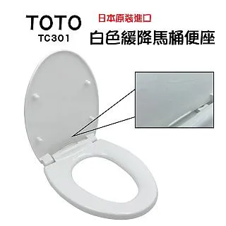 日本原裝進口  馬桶尿垢清潔劑 100g  2入   日本製 歷史價格詳細信息