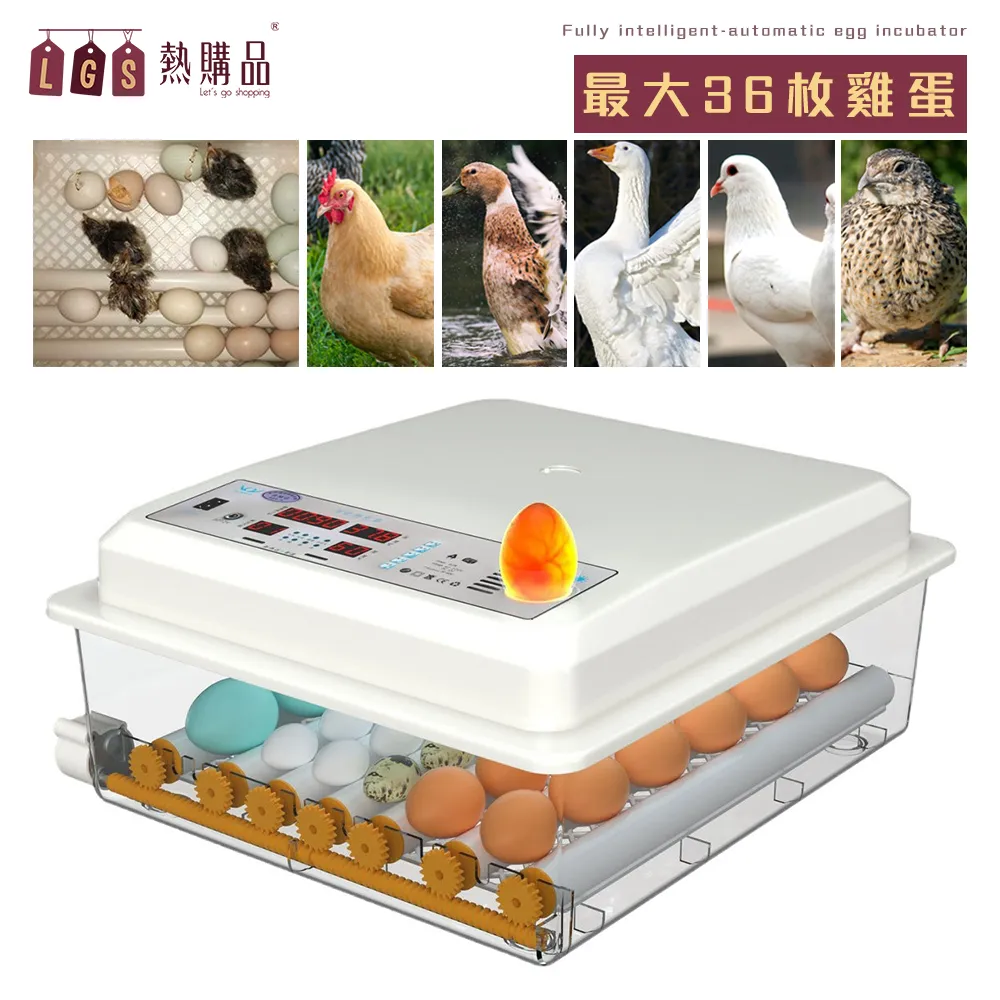 【LGS熱購品】110V全自動定量分裝機[3-200克] 智能精密秤重 分料 分裝 包裝機 計量機 秤重機 歷史價格詳細信息