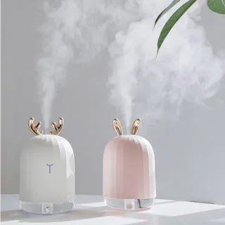 奇萌頓鉀 袁和平導演/袁日初 袁家班玄幻武術系列 功夫電影DVD 歷史價格詳細信息