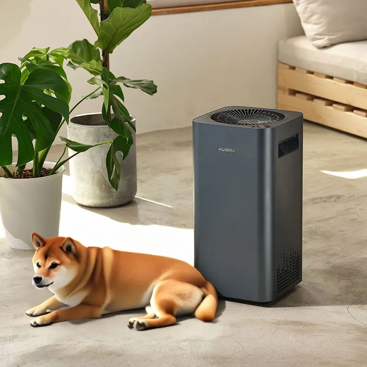 【POIEMA】Evo Pet 寵物空氣淨化器/空氣清淨機(無耗材/8坪以下/智慧家電/PM2.5自動偵測/SGT350SE2-P) 歷史價格詳細信息