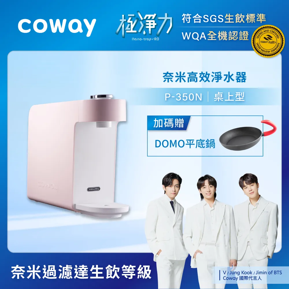 Coway 淨水器 三道奈米級過濾 P 250 N DIY組 一年原廠保固 現貨 免運 歷史價格詳細信息