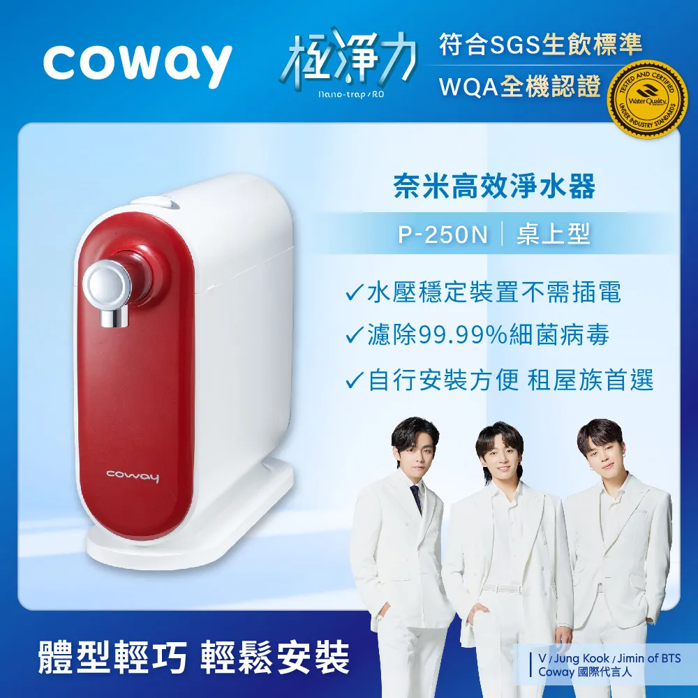 Coway 淨水器 三道奈米級過濾 P 250 N DIY組 一年原廠保固 現貨 免運 歷史價格詳細信息