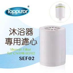 【心田樂器】泰瑪 TYMA 吉他 TG-5 花信 41吋 (附原廠琴袋) 歷史價格詳細信息