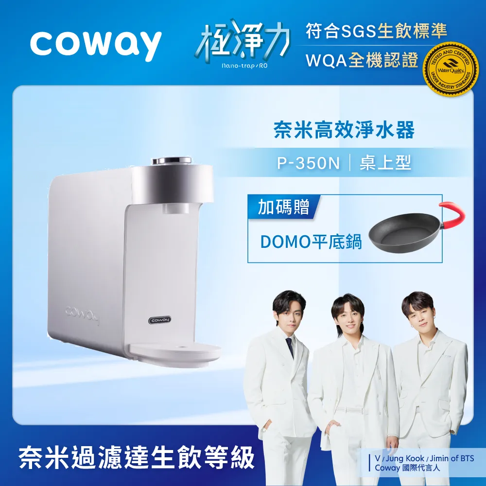 Coway 淨水器 三道奈米級過濾 P 250 N DIY組 一年原廠保固 現貨 免運 歷史價格詳細信息