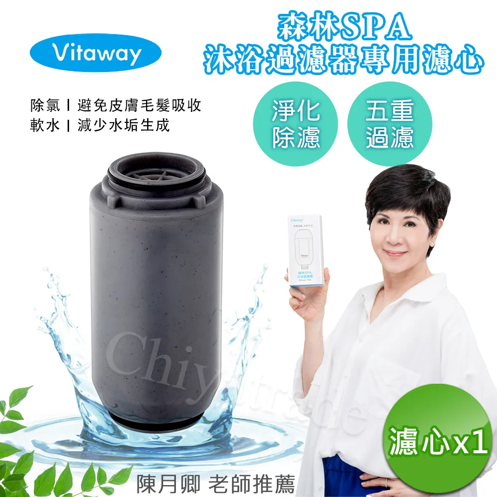 Vitaway森林SPA活水沐浴過濾器-陳月卿推薦 歷史價格詳細信息