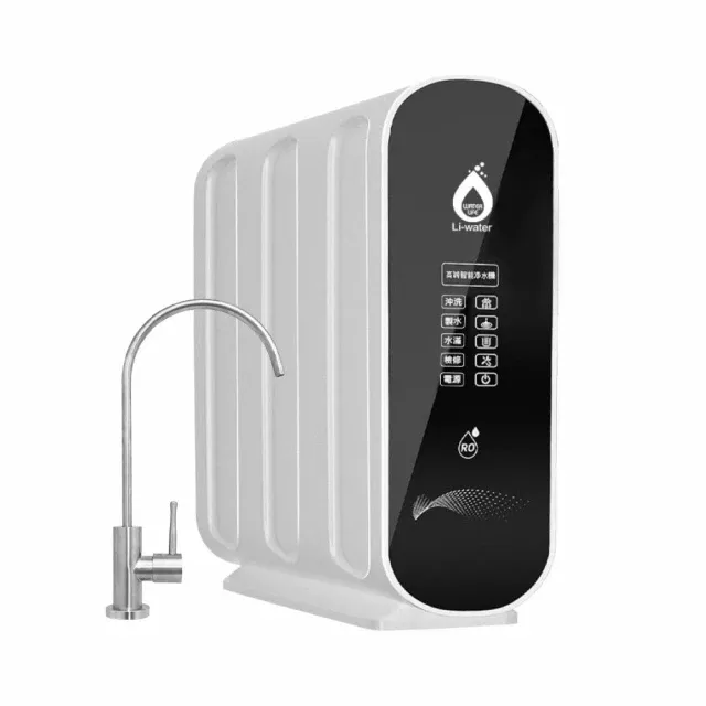 LW2106 黑白直輸機-600G-RO膜-RO膜濾芯(DIY) 歷史價格詳細信息