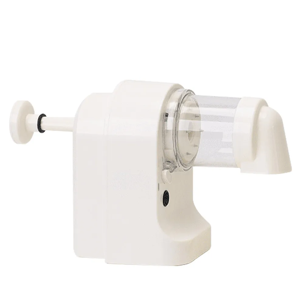 Rizmo Evolving Musical Furry Friend TOMY Takara 歷史價格詳細信息