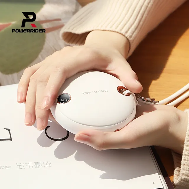 Power Rider WS26螢石暖暖蛋 粉色 歷史價格詳細信息