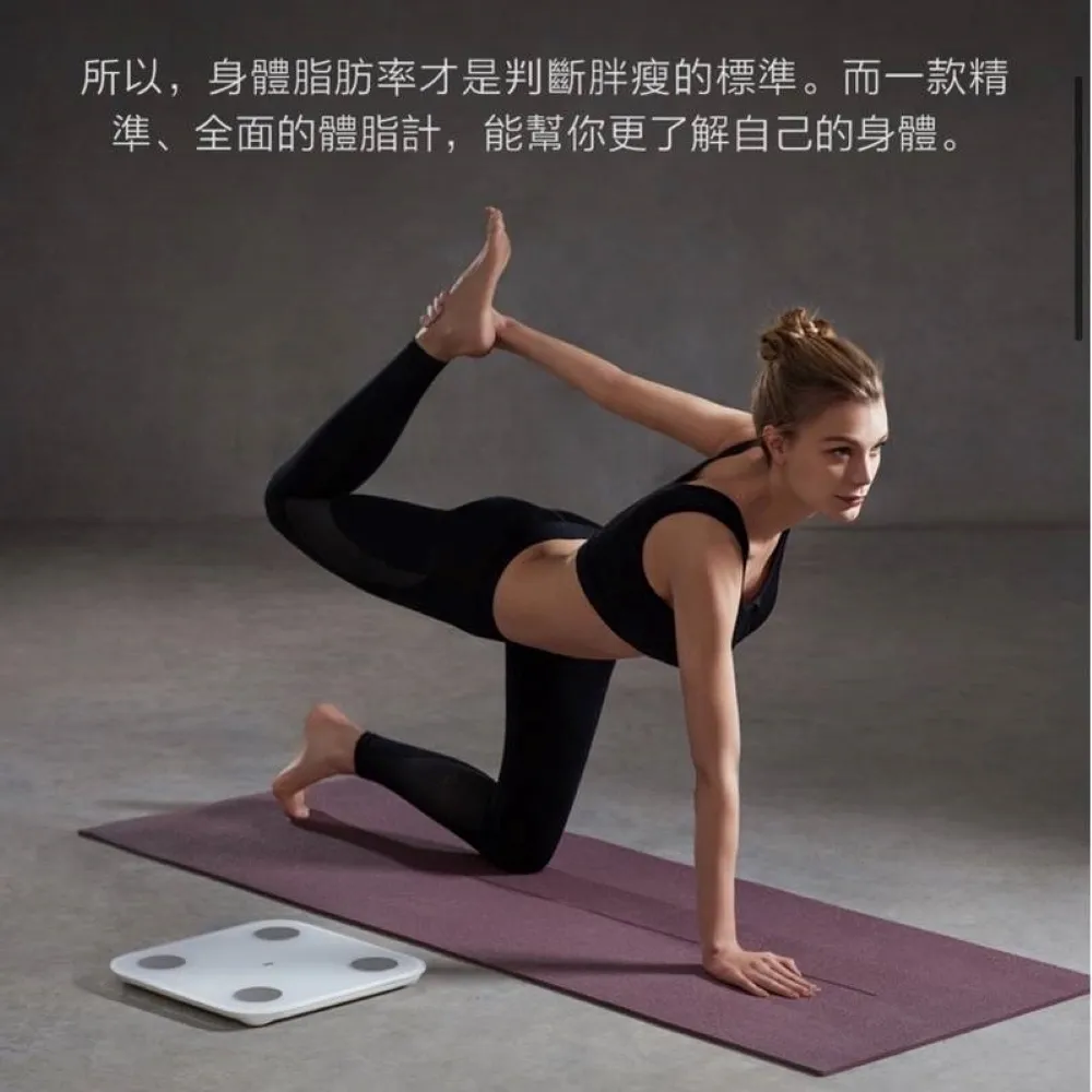 體脂    體重計 智慧藍牙體脂  人體體重  健康     體重  家用體重 歷史價格詳細信息