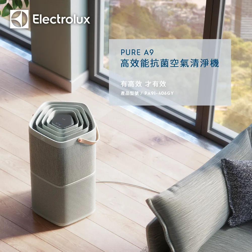 Electrolux伊萊克斯 Pure A9(PA91-406GY/DG) 專用活性碳淨味抗菌原廠濾網 EFDFRH4 歷史價格詳細信息