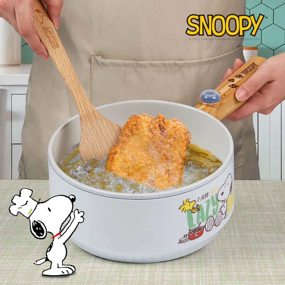 【SNOOPY 史努比】吃貨系列-S19雙層防燙快煮鍋+M1909蒸具二件套 歷史價格詳細信息