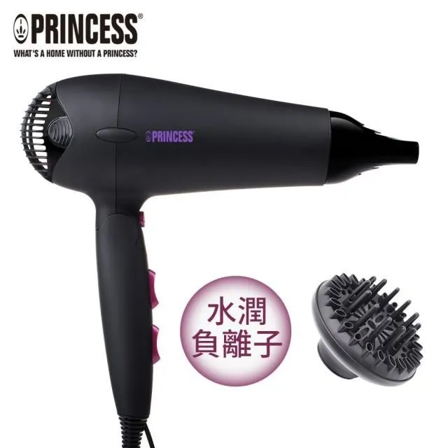 PRINCESS荷蘭公主水潤負離子吹風機505019 歷史價格詳細信息