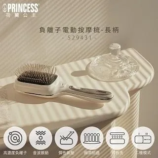 PRINCESS｜荷蘭公主 負離子電動按摩梳(長柄) 529431 歷史價格詳細信息