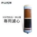 【Purie 普瑞】NSF四效合一淨水器(含濾心) 歷史價格詳細信息