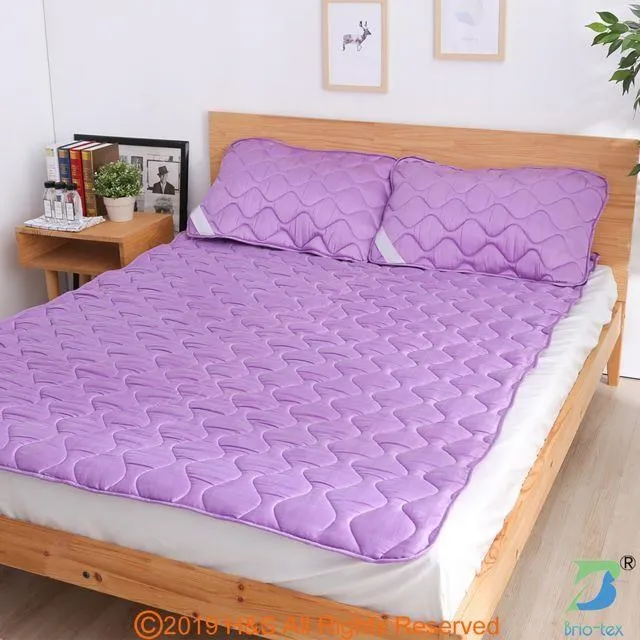 【Brio-tex】涼暖兩用遠紅外線床墊(含枕巾一對)( 加贈遠紅外線寶貝毯) 歷史價格詳細信息