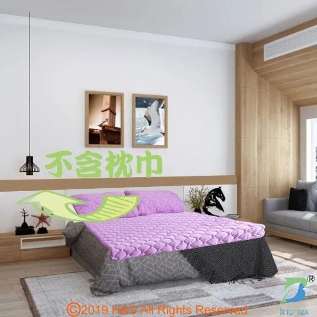 【Brio-tex】涼暖兩用遠紅外線床墊(含枕巾一對)( 加贈遠紅外線寶貝毯) 歷史價格詳細信息