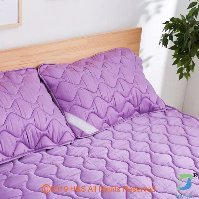 【Brio-tex】涼暖兩用遠紅外線床墊(含枕巾一對)( 加贈遠紅外線寶貝毯) 歷史價格詳細信息