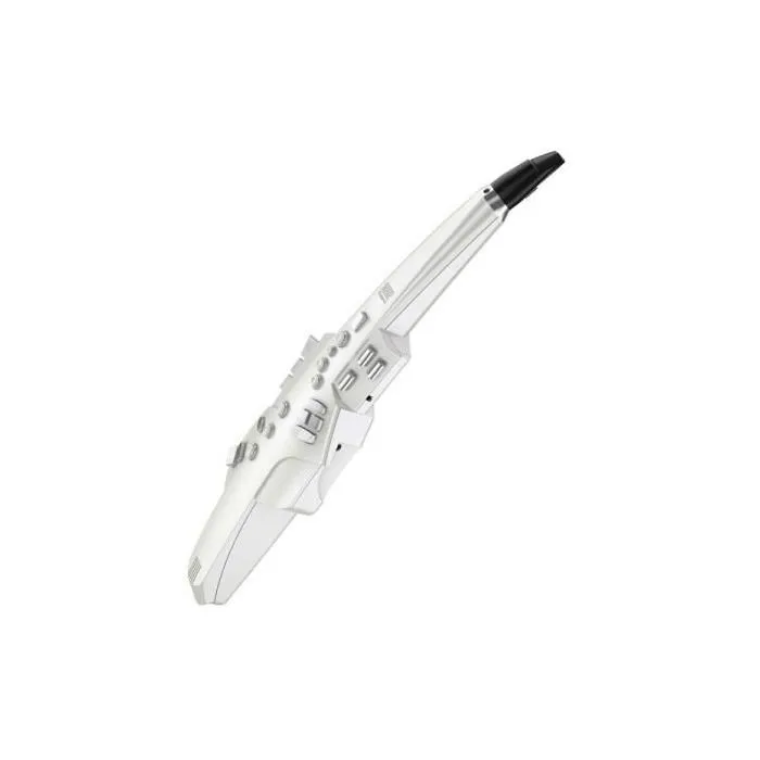 薩克斯風 Roland AE-10 數位電子吹管 AE10 公司貨 價格比較,價格查詢,歷史價格詳細信息