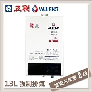 【五聯】ASE-7602 智能恆溫12公升強制排氣熱水器(12L FE式) 歷史價格詳細信息