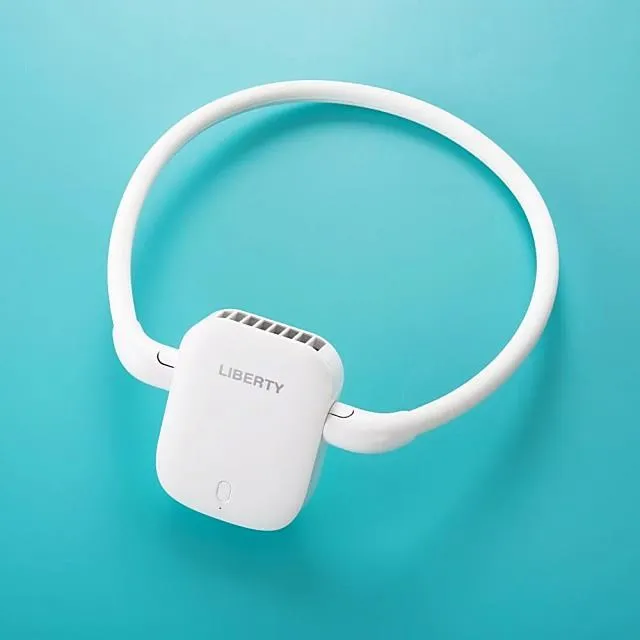 【LIBERTY利百代】雙扇葉USB摺疊風扇LY-3115FA 歷史價格詳細信息