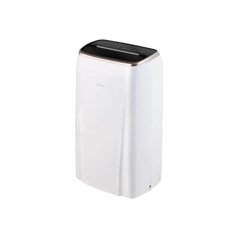 【TECO 東元】11-13坪 R32一級變頻冷暖右吹窗型冷氣(MW63IHR-HR) 歷史價格詳細信息