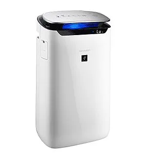 SHARP 夏普 自動除菌離子PM2.5濾除空氣清淨機(搭配蜂巢狀活性炭脫臭濾網.集塵HEPA濾網) FP-J80T-W - 歷史價格詳細信息
