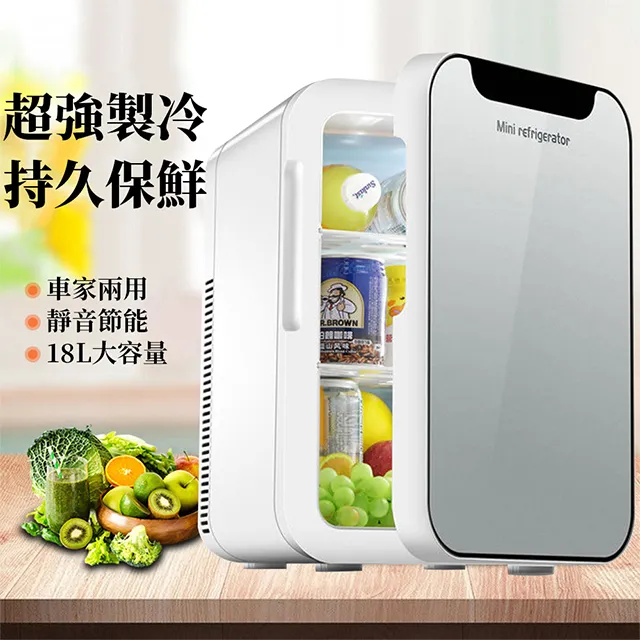 車載冰箱 110v 10L冰箱 迷你小冰箱 學生宿舍冷暖箱 車家兩用冷藏保鮮 歷史價格詳細信息