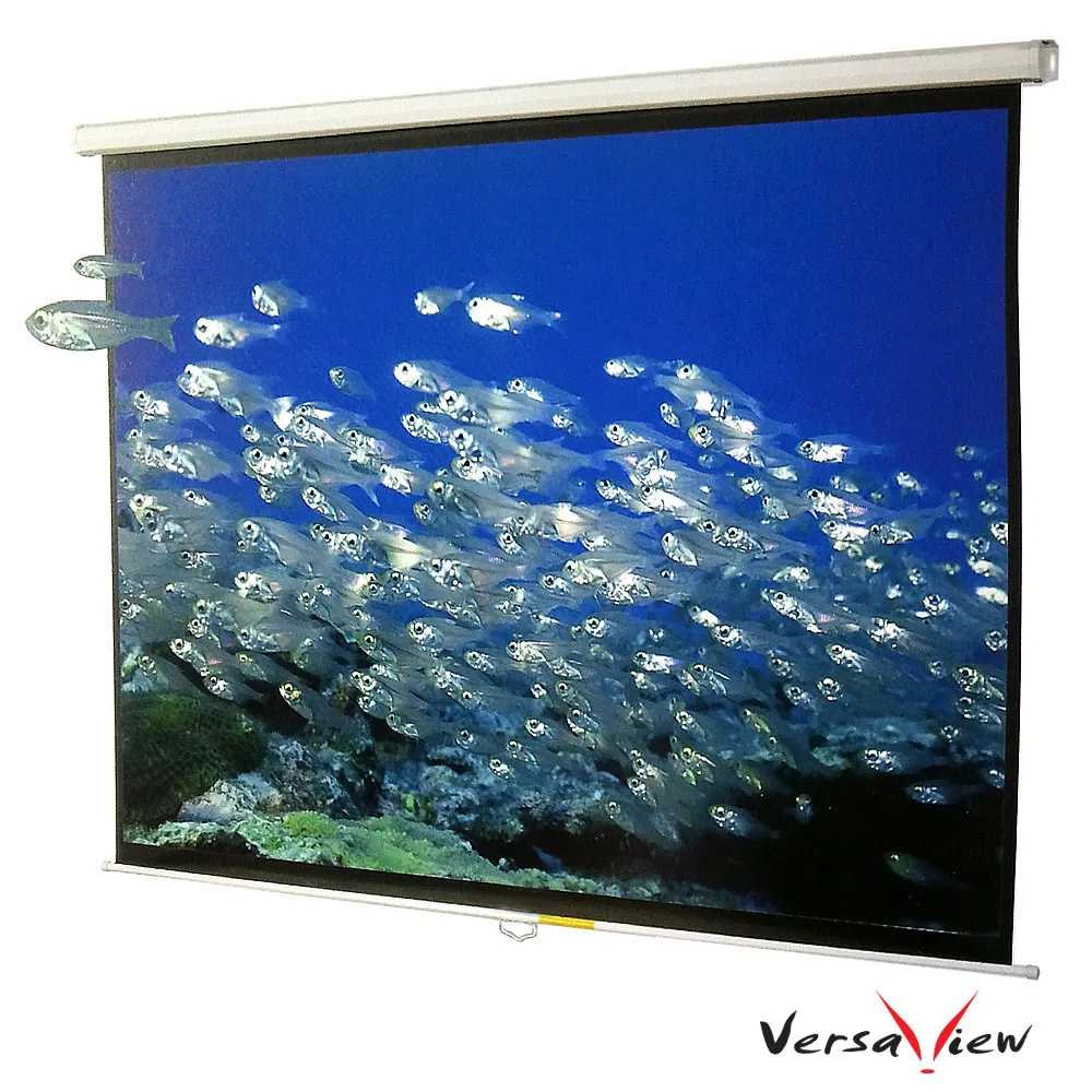 VersaView 100吋(70X70)蓆白電動銀幕 歷史價格詳細信息
