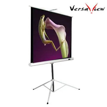 9672小杯無鋼圈聚攏文胸厚薄杯防走光少女士光面夏季內衣調整型 歷史價格詳細信息