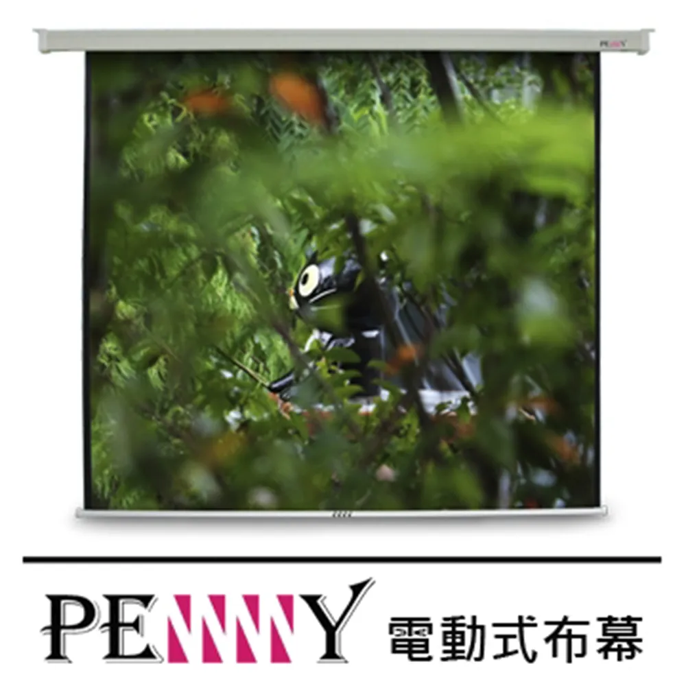 PENNY PS-120(4:3)方型電動幕 價格比較,價格查詢,歷史價格詳細信息