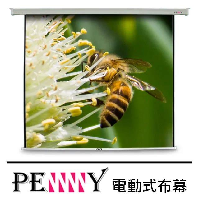PENNY PS-120(4:3)方型電動幕 歷史價格詳細信息